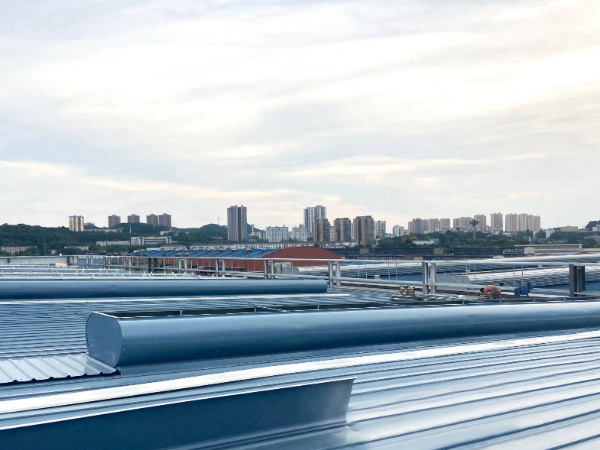 新图 (202).jpg